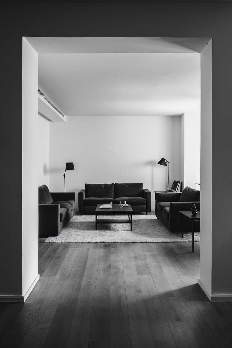 A  minimalist black and white living room.