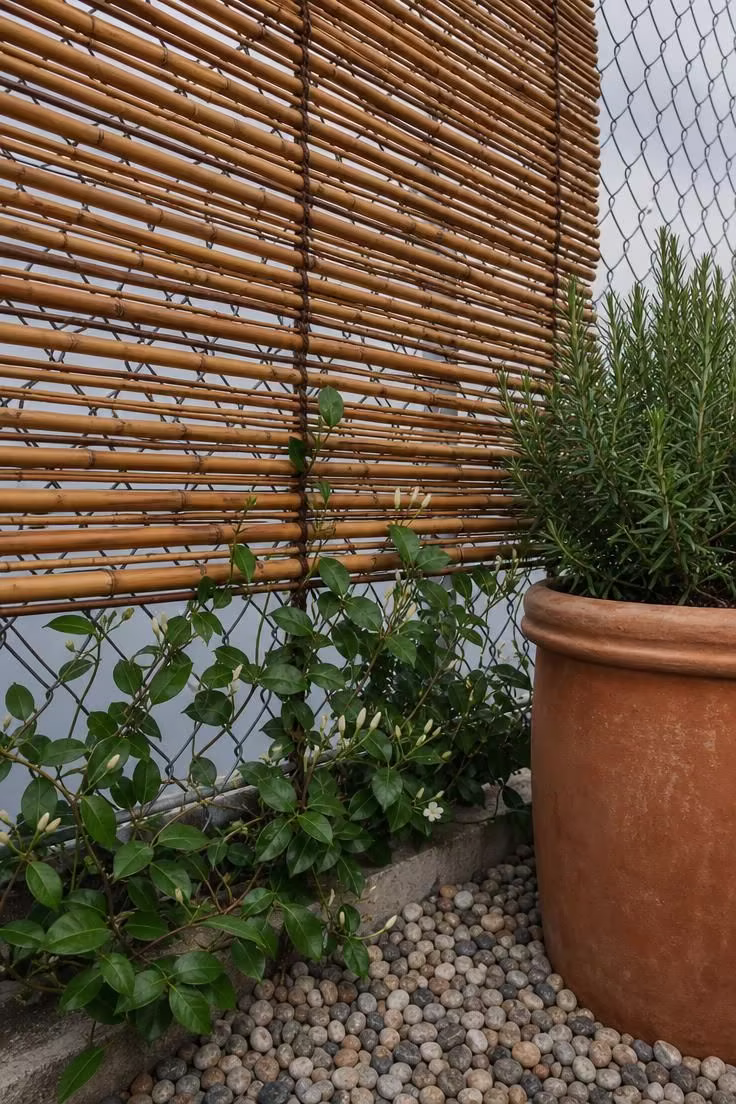 13 Clever Backyard Ideas on a Budget That Feel Polished 8 Close-up of bamboo roll screen on a chain link fence with trailing jasmine vine under a cloud-filtered sky