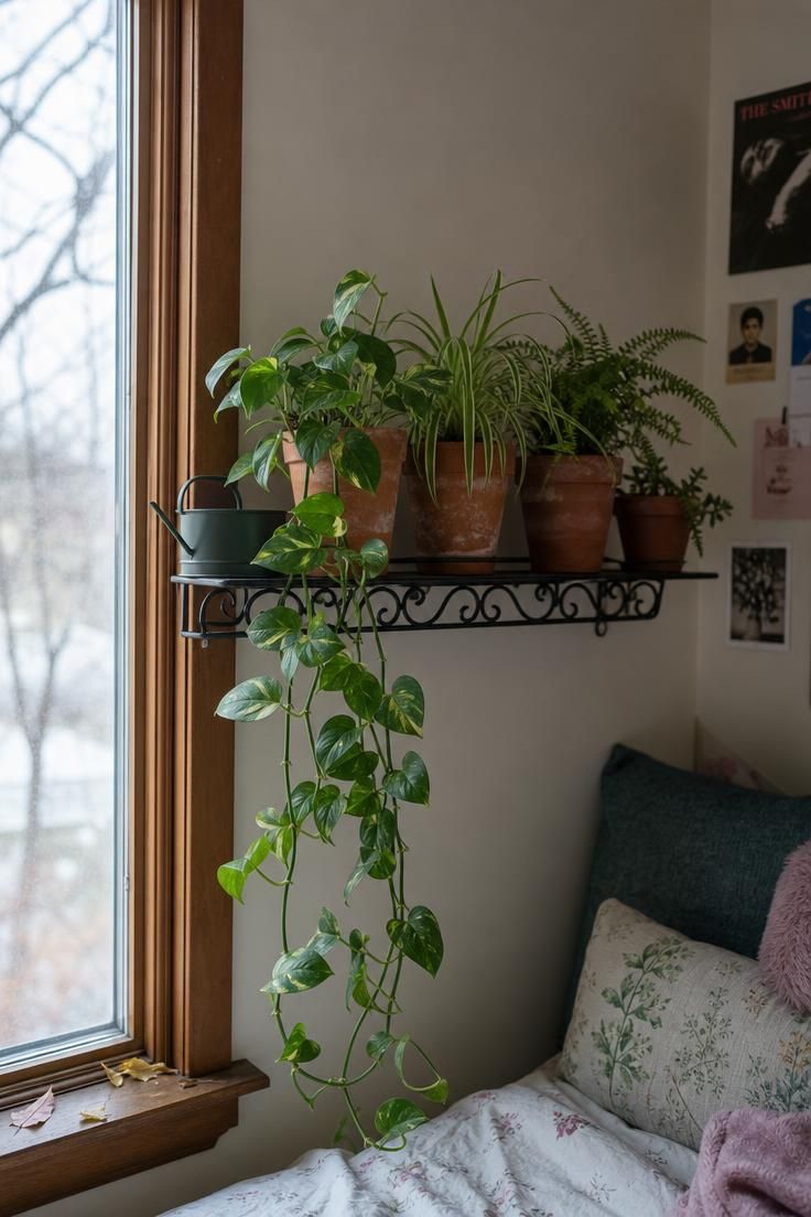 Wrought iron wall shelf near a window holding mismatched terracotta pots with trailing pothos, spider plant, and fern