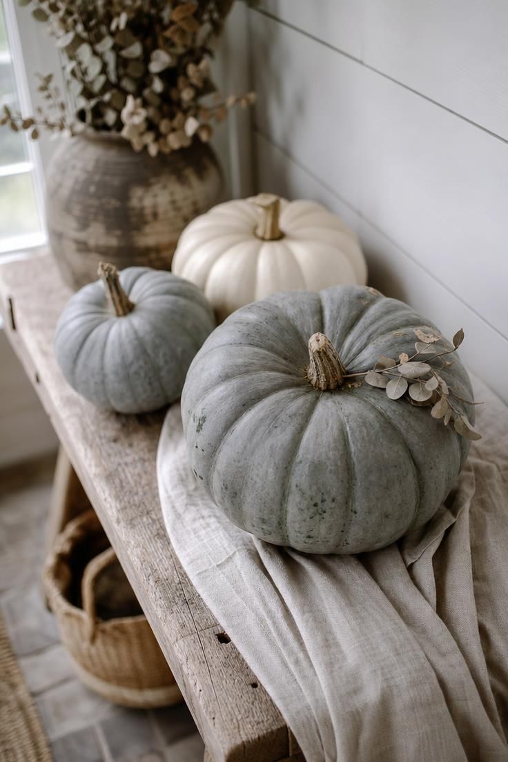 11 Cozy Blue and White Fall Decor Ideas for Warmth 1 Three dusty blue-grey Jarrahdale pumpkins arranged with one cream Casper pumpkin on a whitewashed oak bench with an oatmeal linen runner and a sprig of dried eucalyptus.