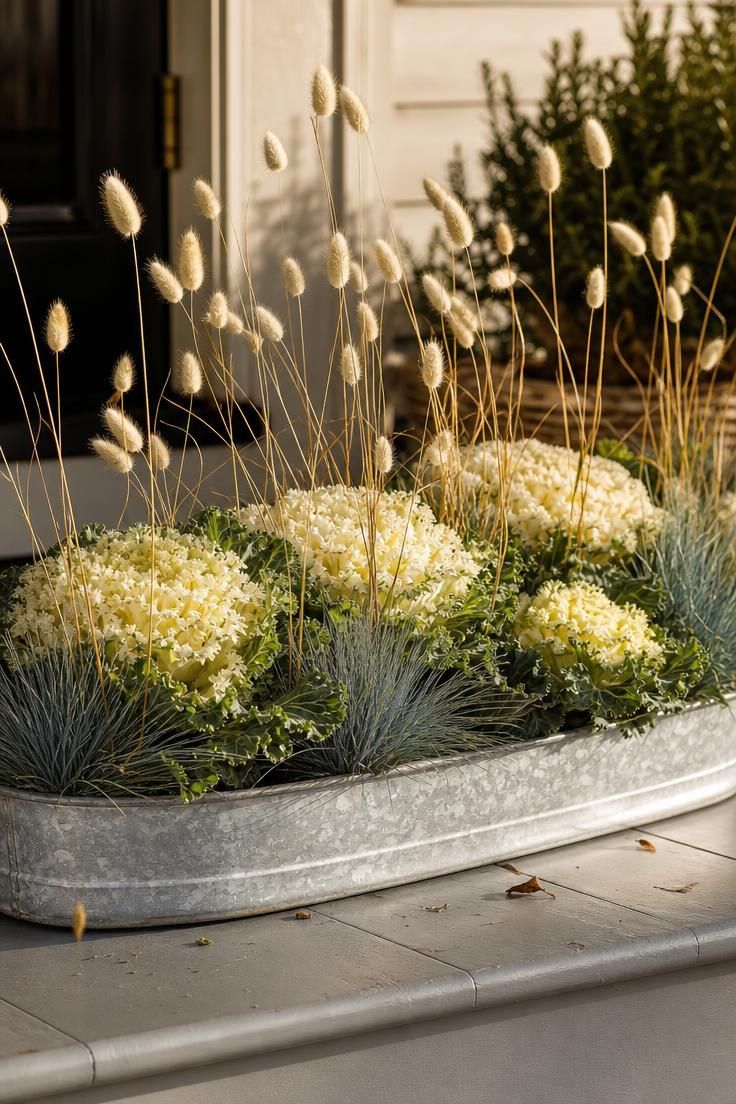 11 Cozy Blue and White Fall Decor Ideas for Warmth 9 A galvanized trough on a porch step planted with white ornamental kale, dried bunny-tail grass, and blue fescue.