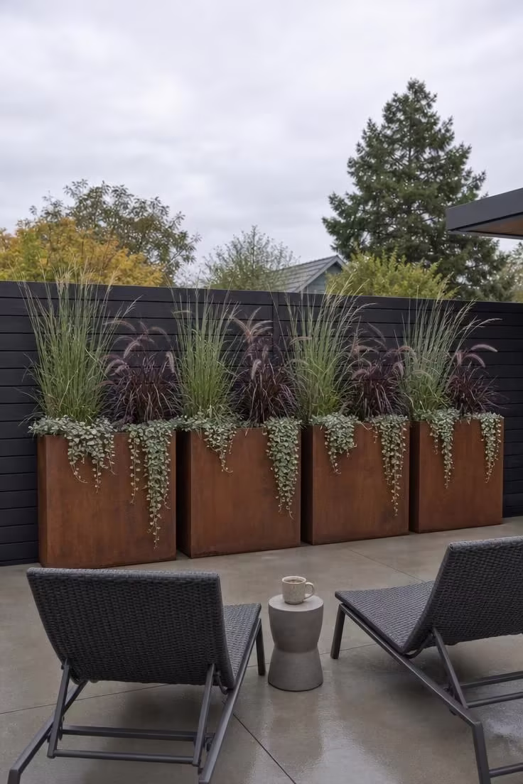Row of Corten steel planters with ornamental grasses along the back edge of a concrete slab patio on an overcast morning