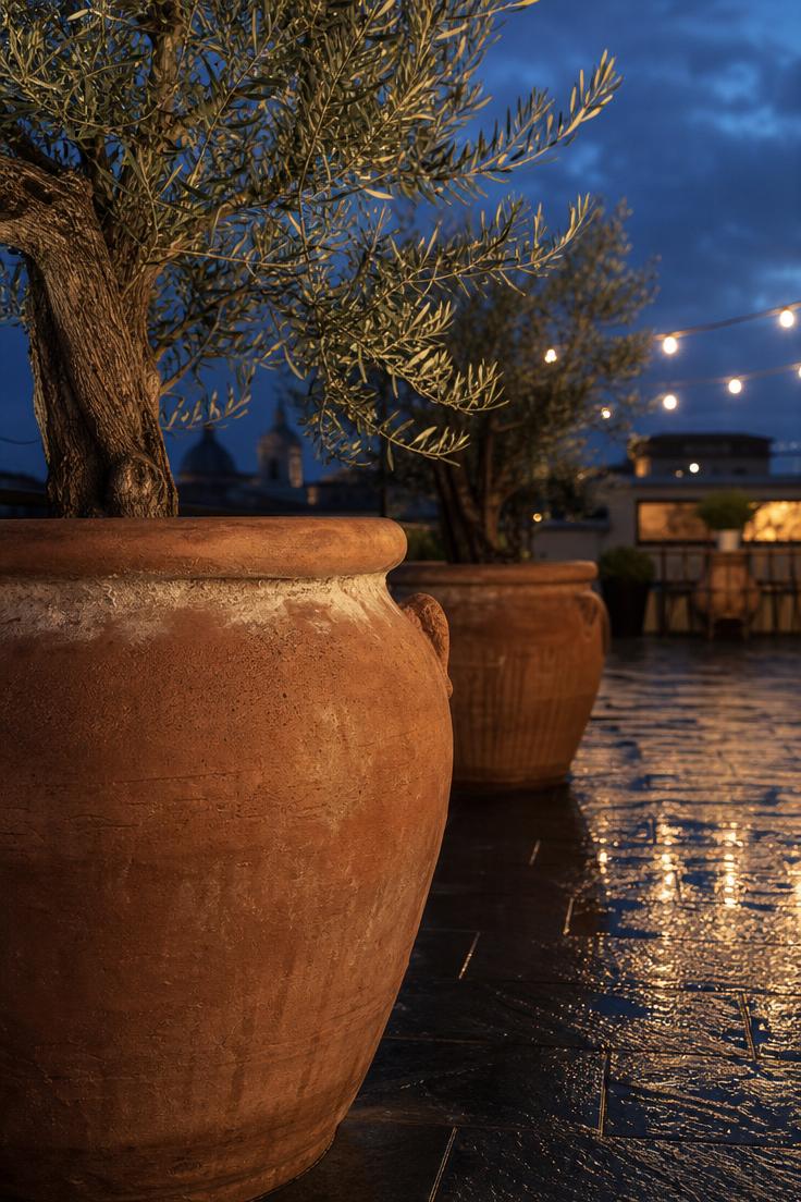 14 Inviting European Backyard Ideas That Feel Like Home 10 A detail crop of an oversized terracotta pot with an olive tree on a wet dark slate terrace at dusk with warm string light reflections and a deep blue evening sky.