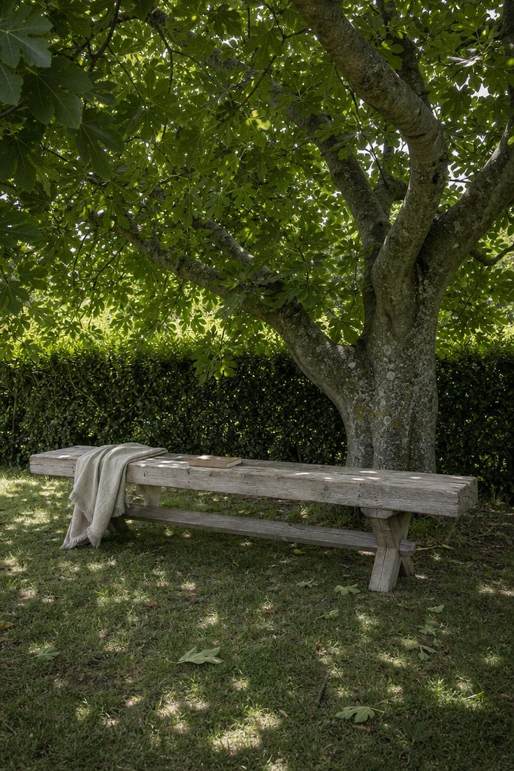 14 Inviting European Backyard Ideas That Feel Like Home 14 A wide view of a reclaimed pine farmhouse bench beneath a mature fig tree canopy with dappled diffused light, a linen throw, and a clipped privet hedge behind.