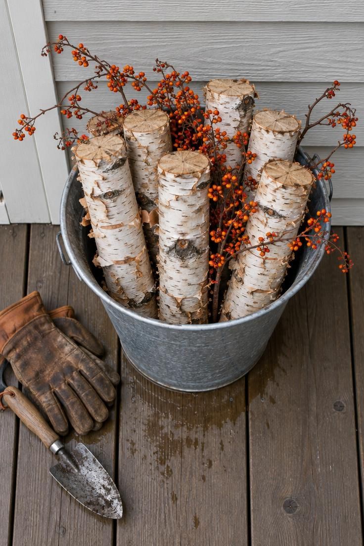 11 Whimsical Farmhouse Halloween Porch Decor Ideas 7 An overhead view of a galvanized bucket packed with birch logs and dried bittersweet stems sitting on a porch floor against the house wall.