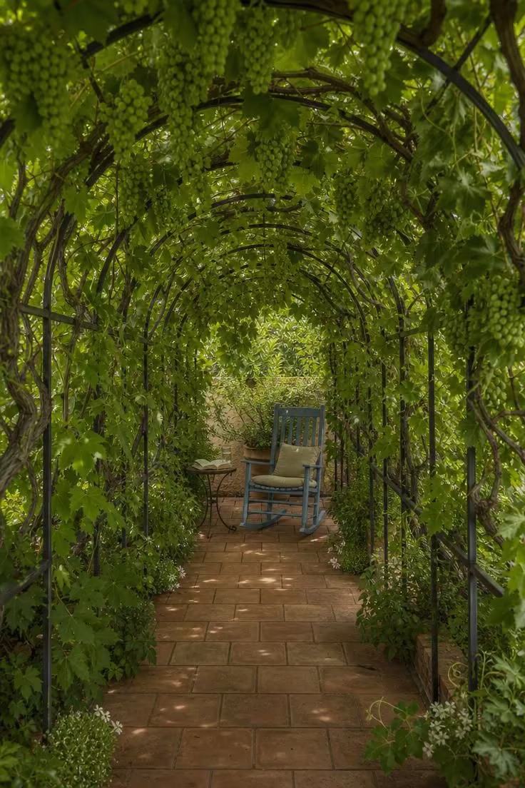 13 Lovely Garden Reading Nook Ideas for Quiet Moments 13 Trellised grape vine tunnel with painted wooden rocking chair in soft diffused green light