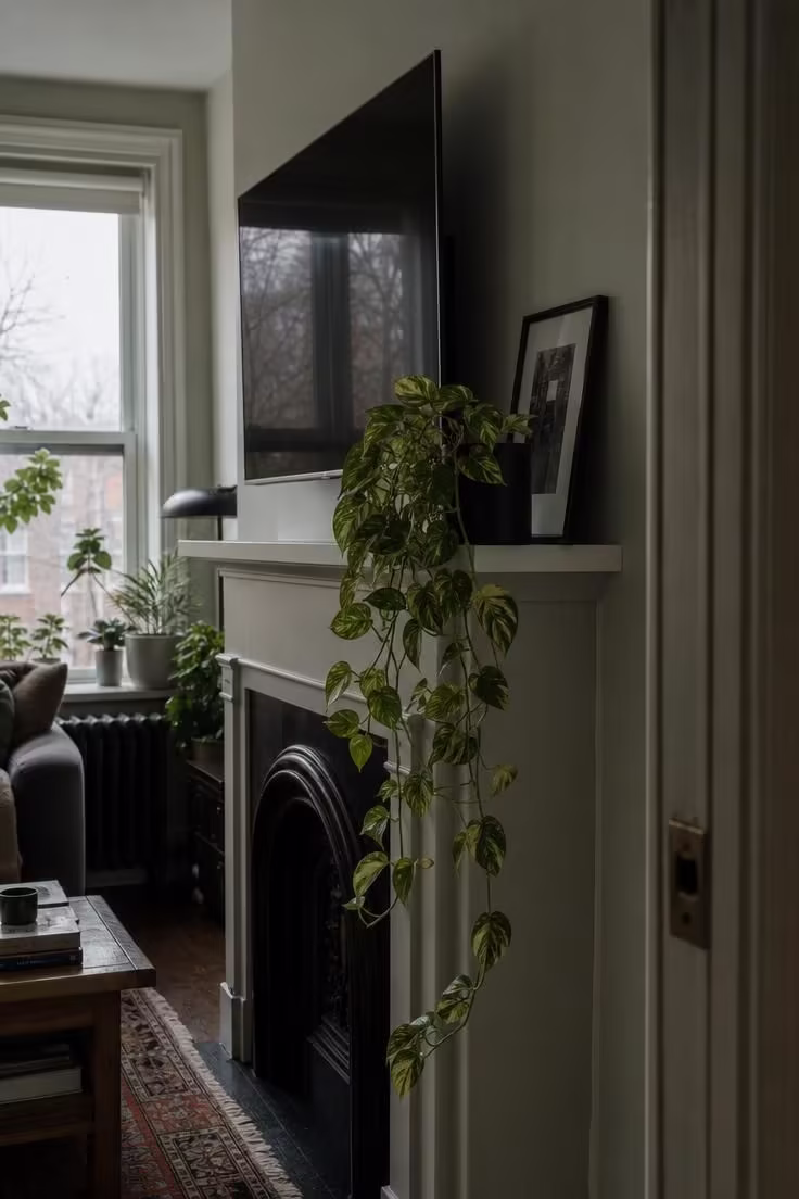Golden pothos trailing from a matte black planter on a white mantel edge below a wall-mounted TV