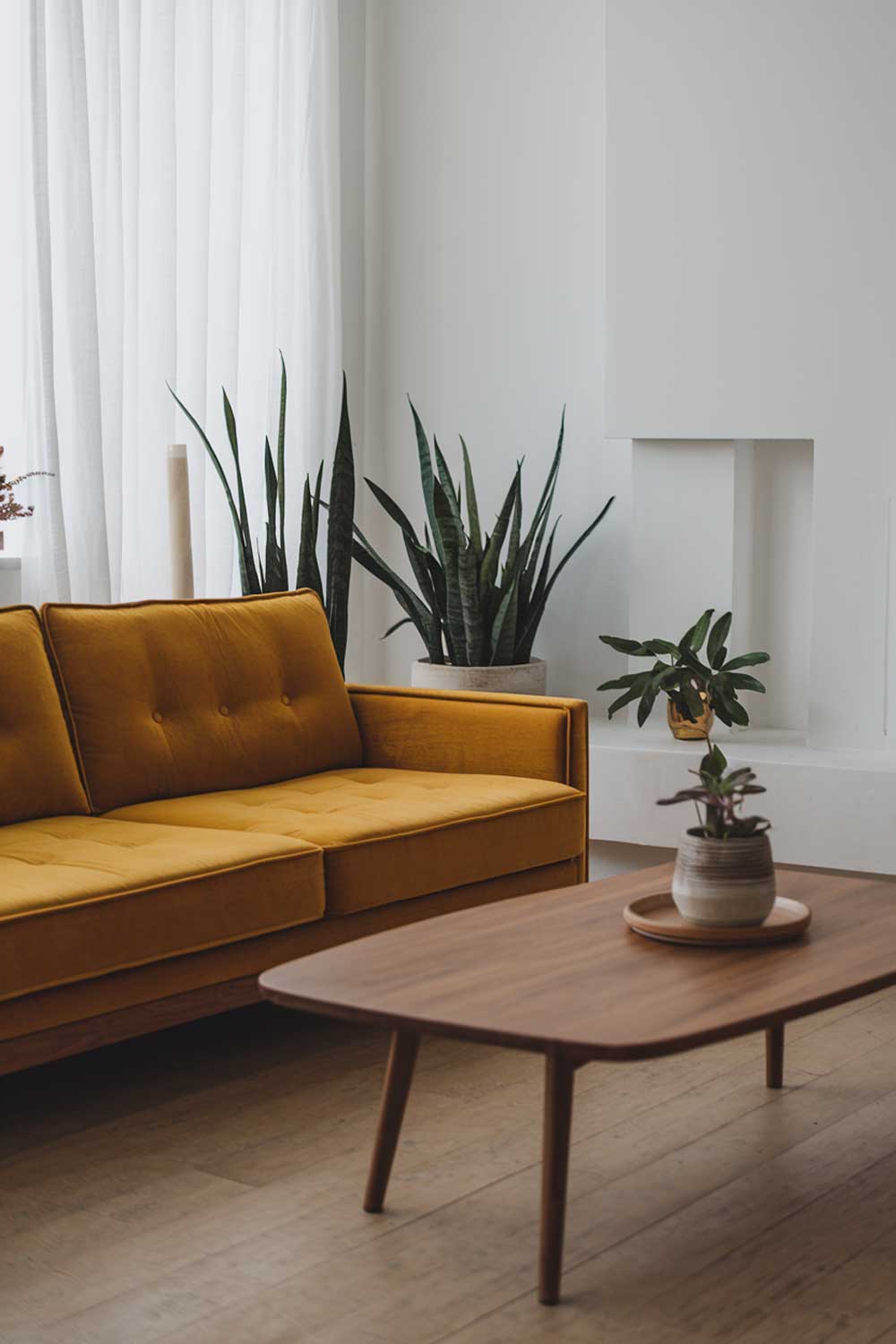 A modern minimalist living room with a yellow sofa. The room has a white walls, a wooden coffee table, and a few potted plants. The yellow sofa is placed in front of the white wall. The floor is made of wooden planks. There is a white curtain in the background.