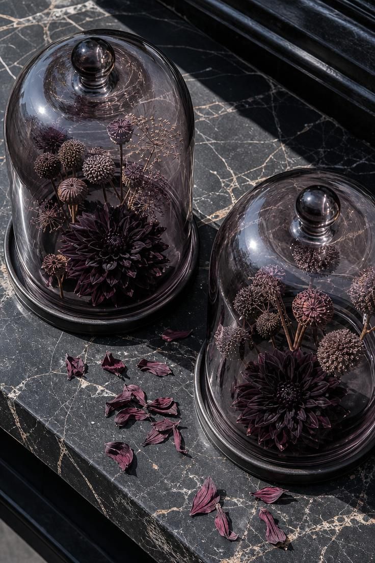 Smoked-glass cloches over dried seed heads on a dark marble ledge in bright light.
