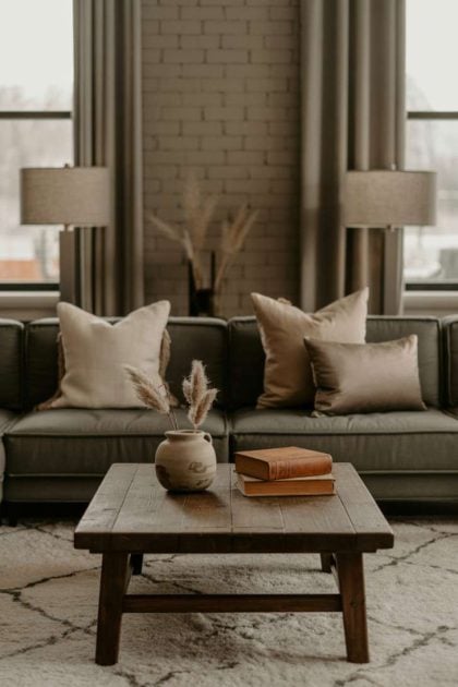 A moody neutral living room