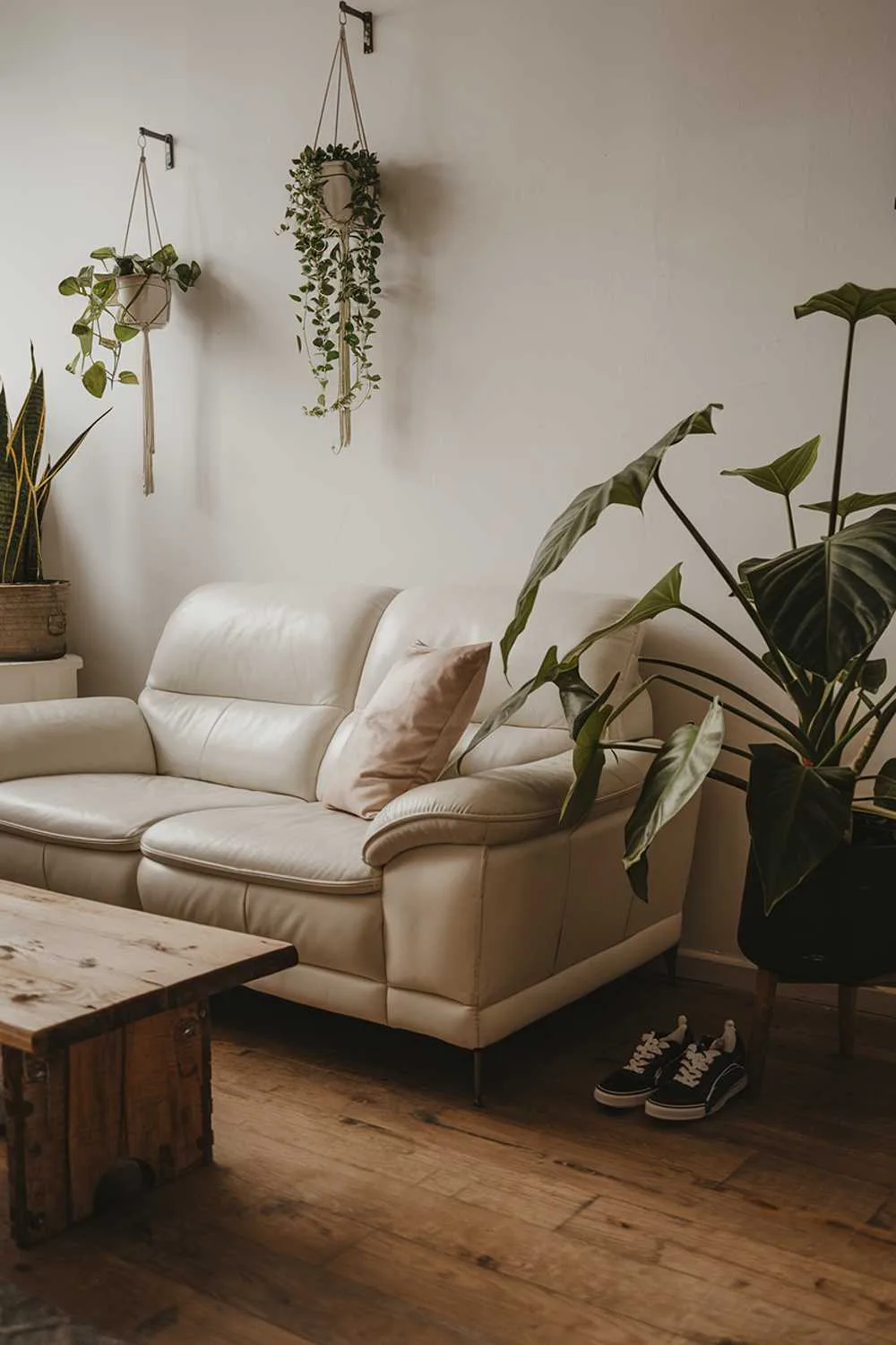 A cozy organic modern living room decor. There's a white leather sofa with a few cushions. A wooden coffee table is placed in front of the sofa. There's a large plant near the sofa. A pair of shoes is placed near the plant. The wall has a few hanging plants. The floor is wooden.