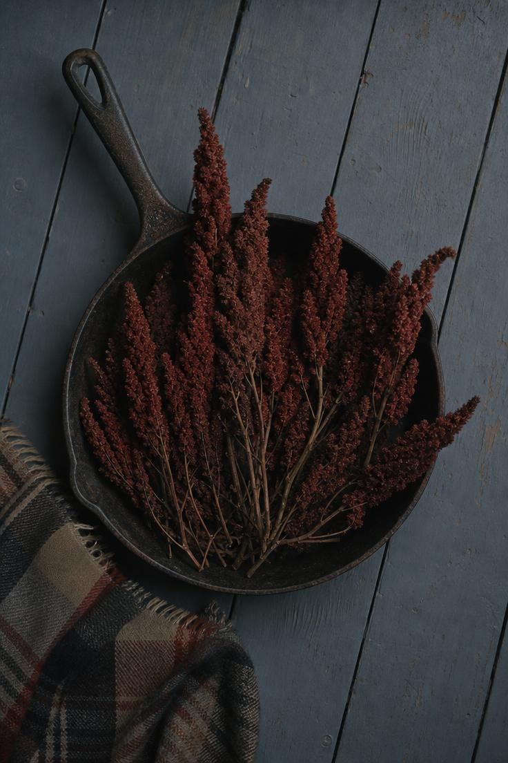 11 Cozy Rustic Fall Porch Ideas for a Warm Welcome 5 An overhead view of a cast-iron skillet holding dried sumac branches on a porch floor in low evening light.