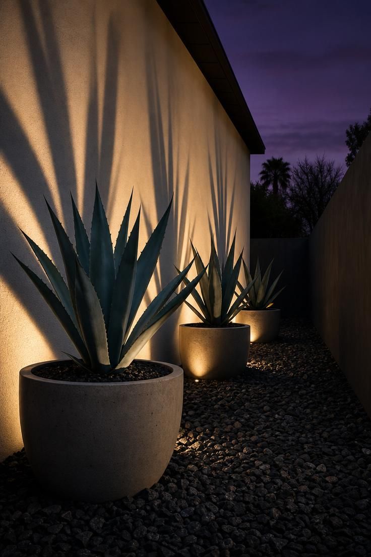 Potted blue agave plants on crushed black basalt mulch with warm uplighting casting dramatic shadows on a pale stucco wall at dusk.