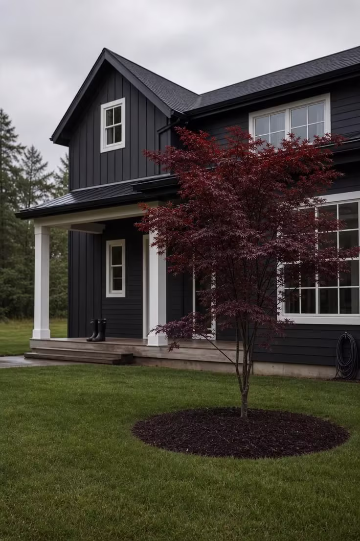 13 Simple Front Yard Landscaping Ideas For Curb Appeal 4 A single 'Bloodgood' Japanese maple set in a clean mulch bed in front of a charcoal modern farmhouse.