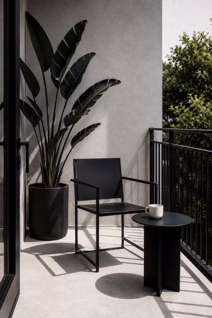 Monochrome black furniture setup on a light concrete balcony with architectural bird of paradise plant