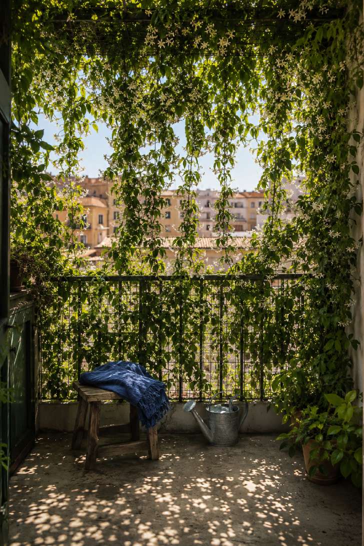 Trailing jasmine vines creating a natural privacy screen on a small balcony with dappled light