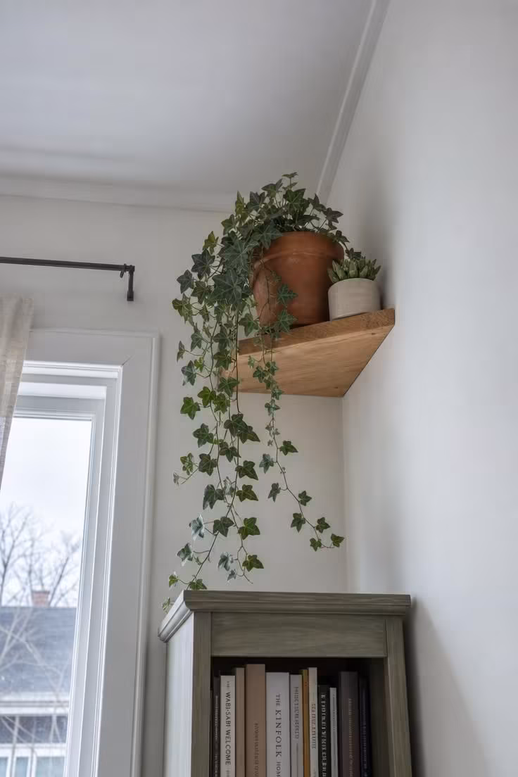 A terracotta pot with trailing ivy on a high corner shelf near the ceiling in cool overcast light
