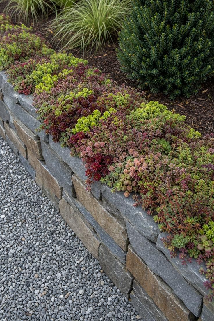 17 Cozy Small Front Yard Landscaping Ideas You Will Love 5 Overhead view of a stacked Pennsylvania bluestone retaining wall topped with colorful sedum varieties