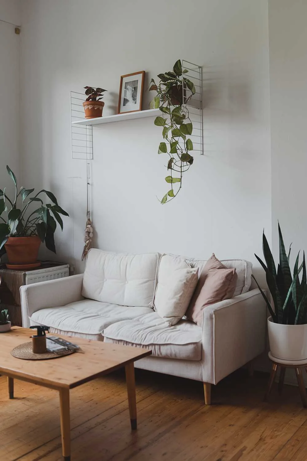 A cozy small Scandinavian living room with a white sofa and a few cushions. There's a wooden coffee table in the middle of the room. On the wall, there's a white shelf with a few decorative items. The room has a few potted plants. The floor is made of wood.