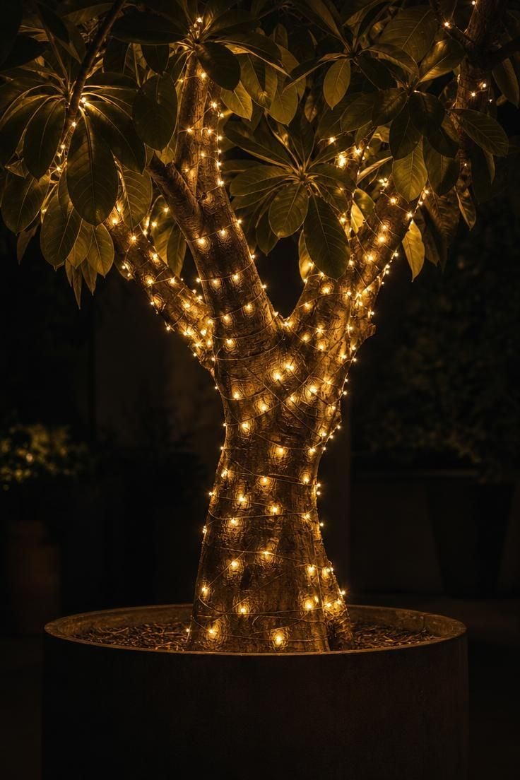 12 Cozy Terrace Decoration Ideas for a Fun Party Night 12 Micro LED wire lights wrapped around a potted plant trunk, creating a sculptural glowing form at night.