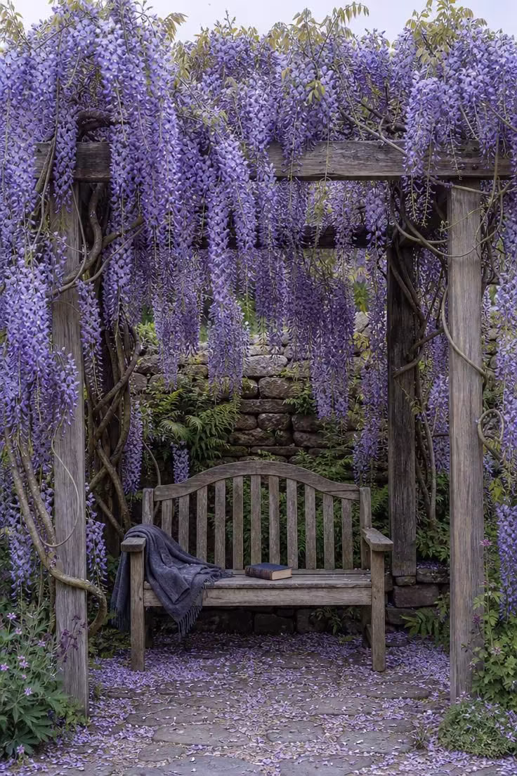 11 Witchy Backyard Ideas That Cast a Moody Spell Outdoors 11 Overgrown wisteria canopy draping over a weathered wooden bench with fallen petals on flagstone in cool even morning light.